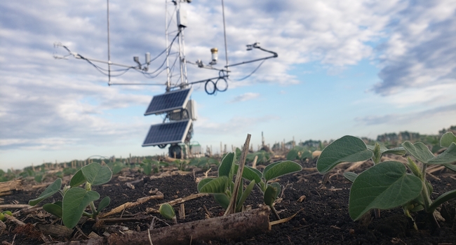 The eddy covariance tower is part of the USDA-ARS led Long-Term Agroecosystem  Research (LTAR) effort to address questions related to the condition, trends, and sustainability of agricultural systems and resources across the United States. Sustainable agricultural systems that provide a safe, nutritious, ample, and reliable food supply; produce bioenergy; provide essential ecosystems services; and mitigate climate change are needed for the well-being and welfare of future generations.