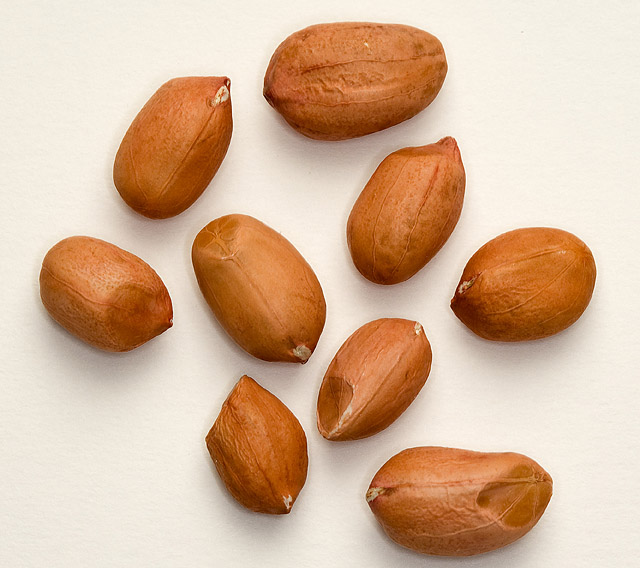 Unshelled peanuts